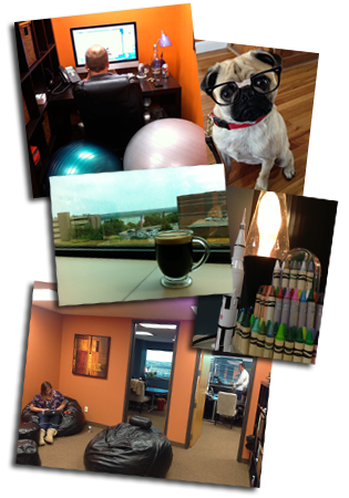 Our Office Meet Three Eyed Bird